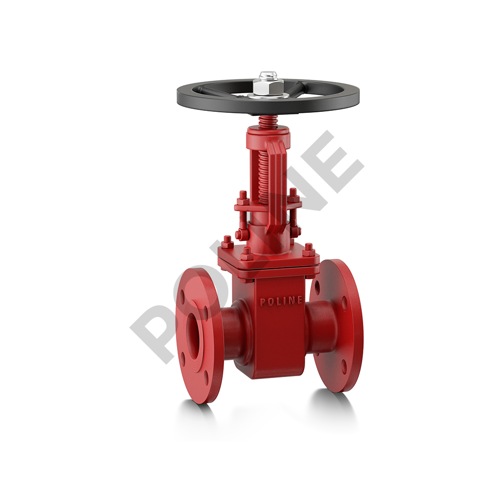 Cast Steel Gate Valve