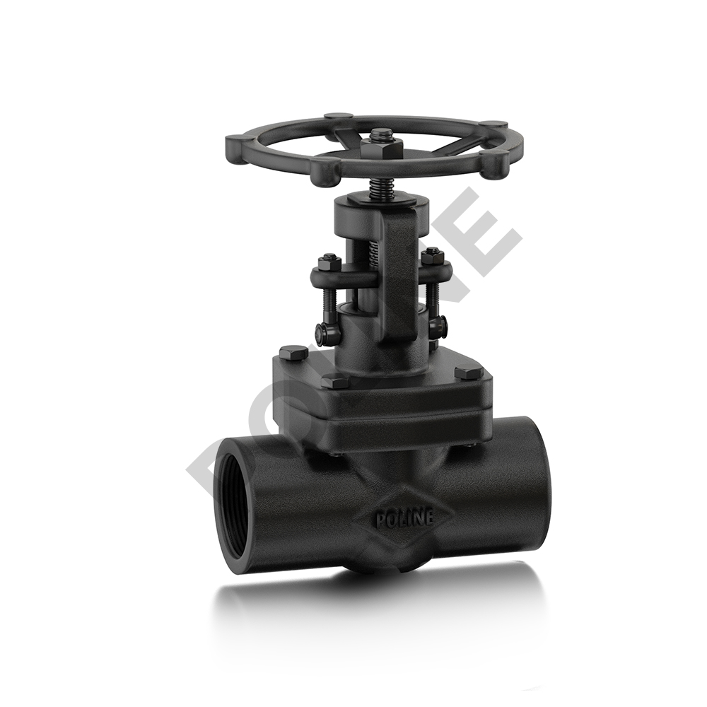 Forged Steel Gate Valve (Class 800) (Standard Bore)