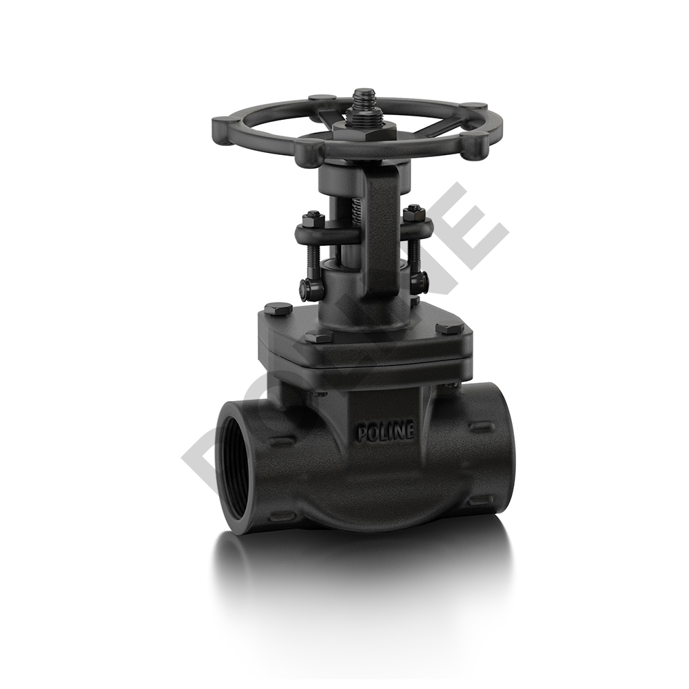 Forged Steel Globe Valve (Class 800) (Full Bore)